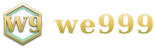 we999 logo